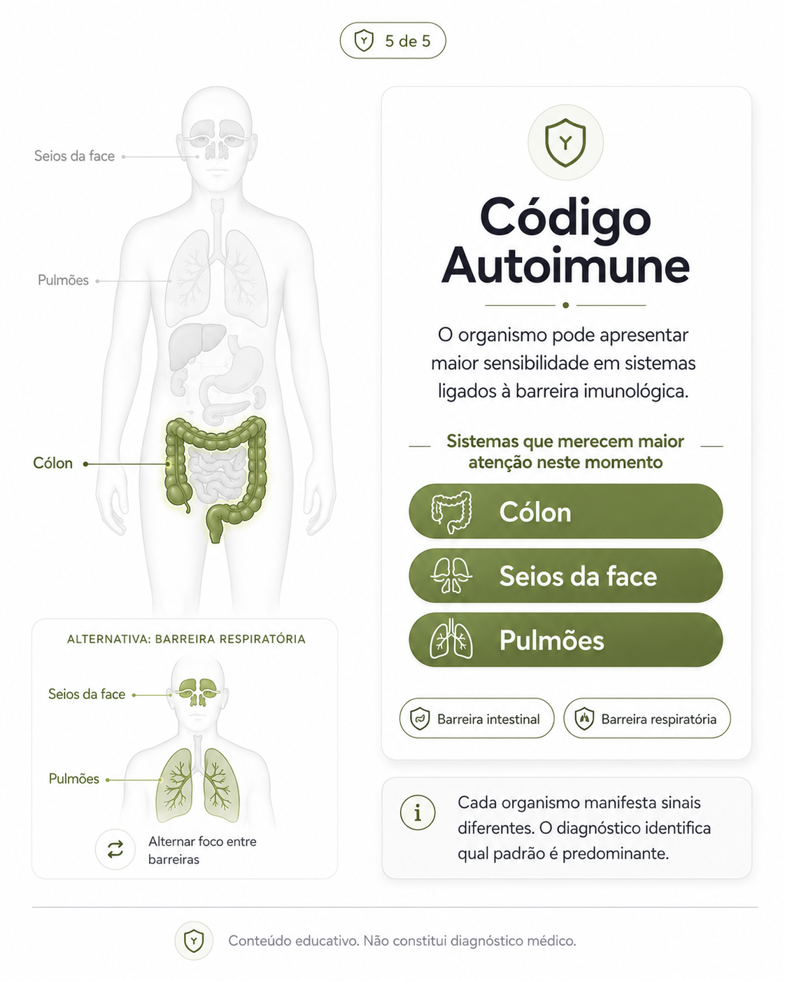 Código Autoimune — cólon, seios da face e pulmões em destaque