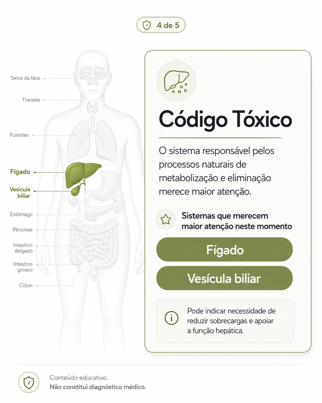 Código Tóxico — fígado e vesícula biliar em destaque